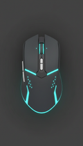 Ergonomic Gaming Mouse with LED Accents